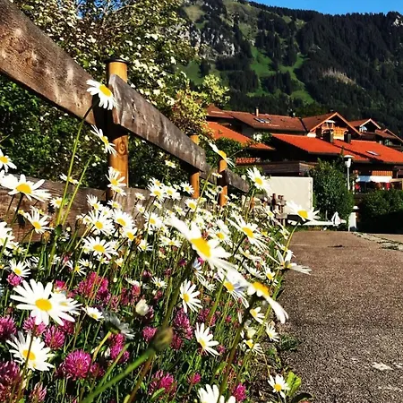 Allgaeuer Alpenblick Apartment