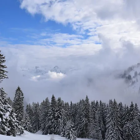 Allgaeuer Alpenblick *